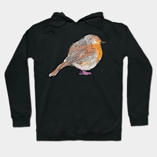 Robin Hoodie